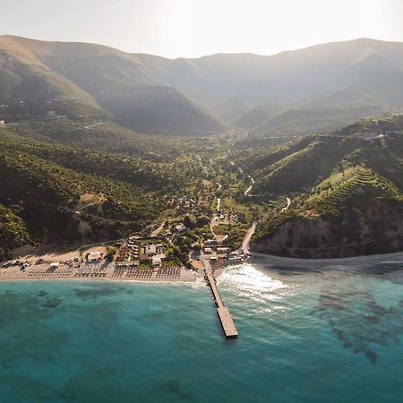 Tropikal Freskia Bunec Sarande Bagian luar foto