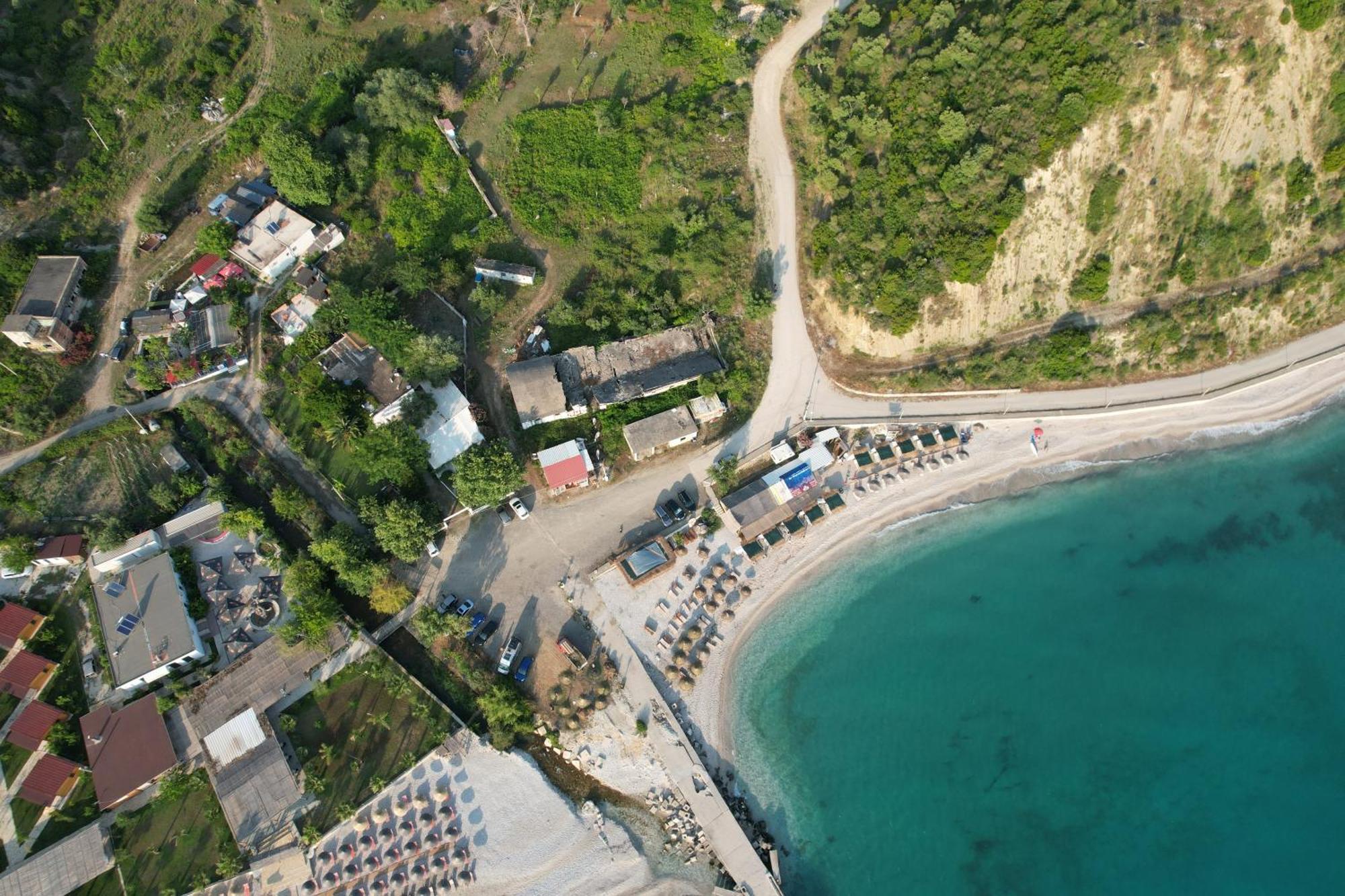 Tropikal Freskia Bunec Sarande Bagian luar foto