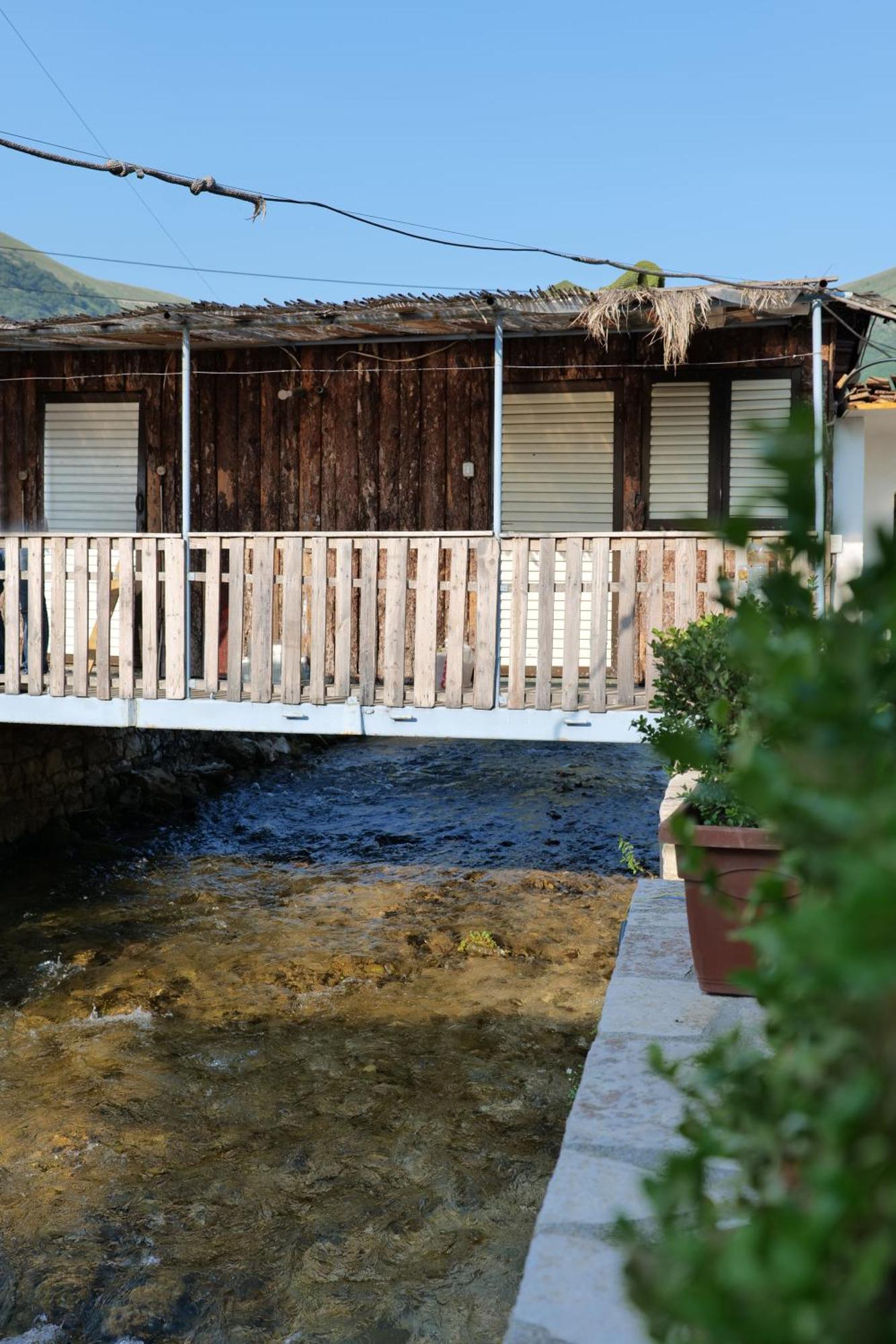Tropikal Freskia Bunec Sarande Bagian luar foto